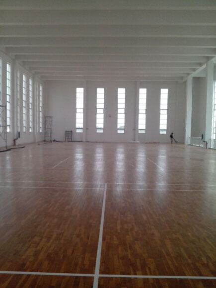 體育地板 體育地板