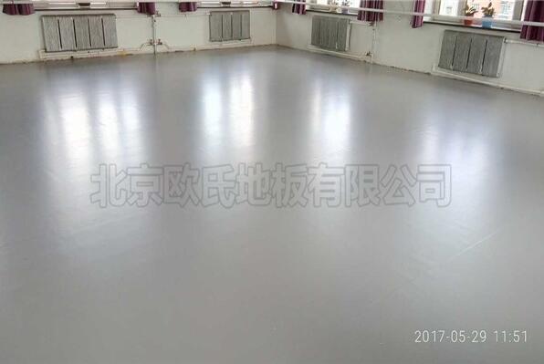 內(nèi)蒙林業(yè)文工團(tuán)舞蹈地膠成功案例 內(nèi)蒙林業(yè)文工團(tuán)舞蹈地膠成功案例