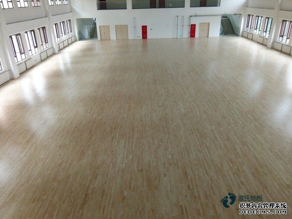 訓練館籃球地板價格及圖片