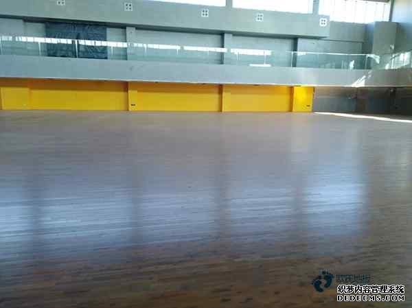 楓木籃球地板防潮